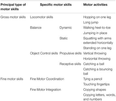 Association Between Preschoolers’ Specific Fine (But Not Gross) Motor Skills and Later Academic Competencies: Educational Implications